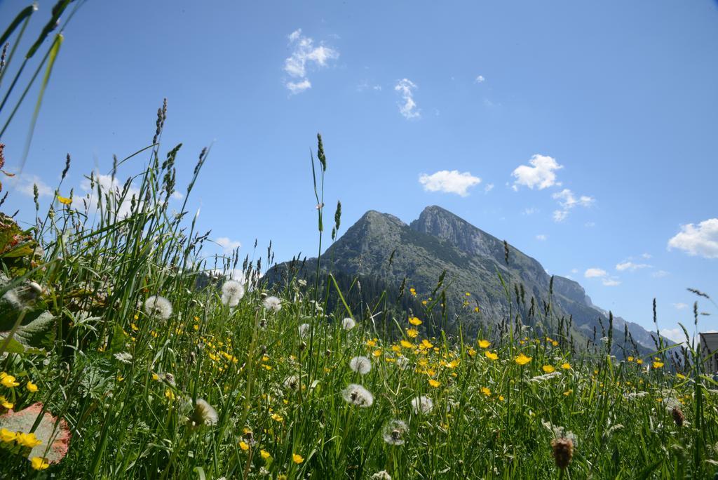 蓬高圣约翰 Der Alpenblick酒店 外观 照片